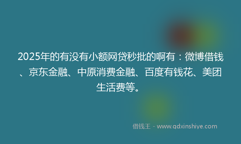 2025年的有没有小额网贷秒批的啊有：微博借钱、京东金融、中原消费金融、百度有钱花、美团生活费等。
