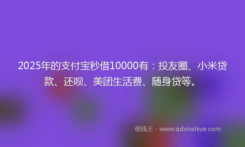 2025年的支付宝秒借10000有：投友圈、小米贷款、还呗、美团生活费、随身贷等。