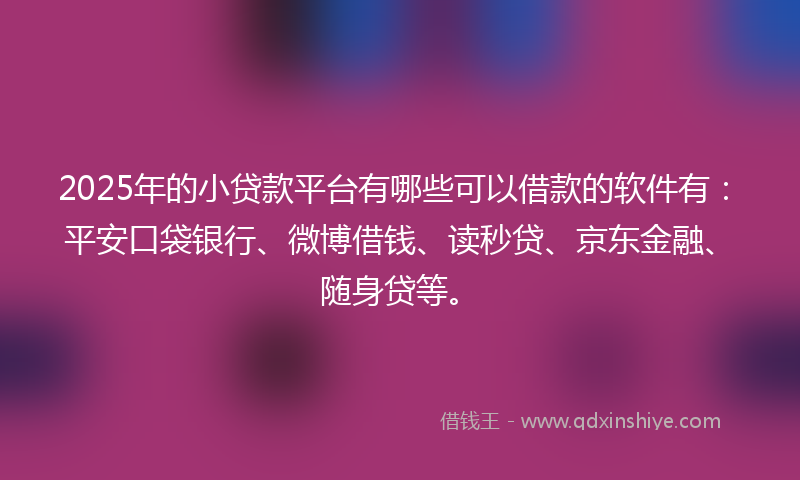 2025年的小贷款平台有哪些可以借款的软件有：平安口袋银行、微博借钱、读秒贷、京东金融、随身贷等。