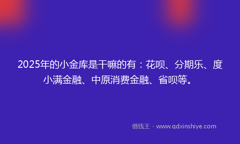 2025年的小金库是干嘛的有：花呗、分期乐、度小满金融、中原消费金融、省呗等。