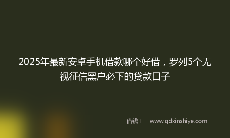 2025年最新安卓手机借款哪个好借，罗列5个无视征信黑户必下的贷款口子