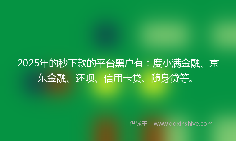2025年的秒下款的平台黑户有：度小满金融、京东金融、还呗、信用卡贷、随身贷等。