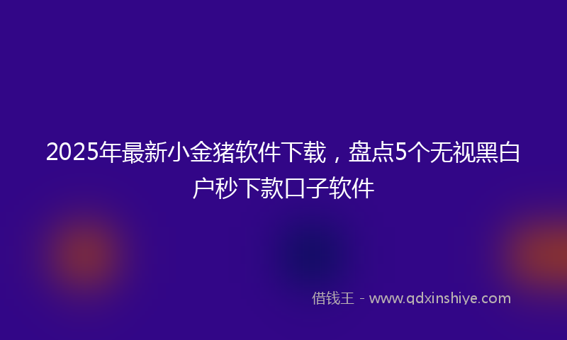 2025年最新小金猪软件下载，盘点5个无视黑白户秒下款口子软件