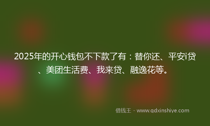 2025年的开心钱包不下款了有：替你还、平安i贷、美团生活费、我来贷、融逸花等。