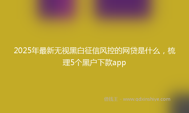 2025年最新无视黑白征信风控的网贷是什么，梳理5个黑户下款app