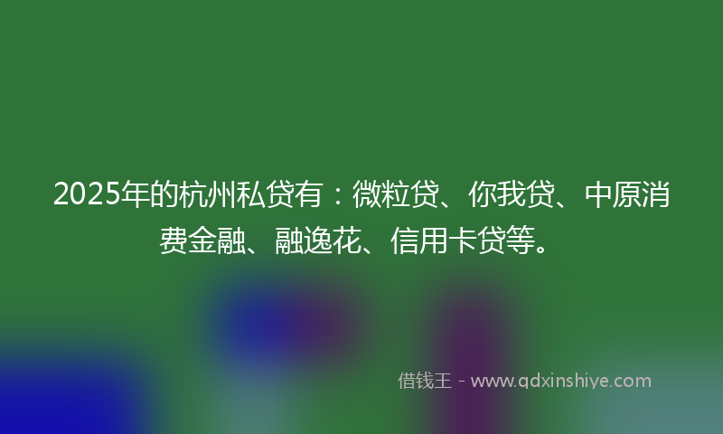 2025年的杭州私贷有：微粒贷、你我贷、中原消费金融、融逸花、信用卡贷等。