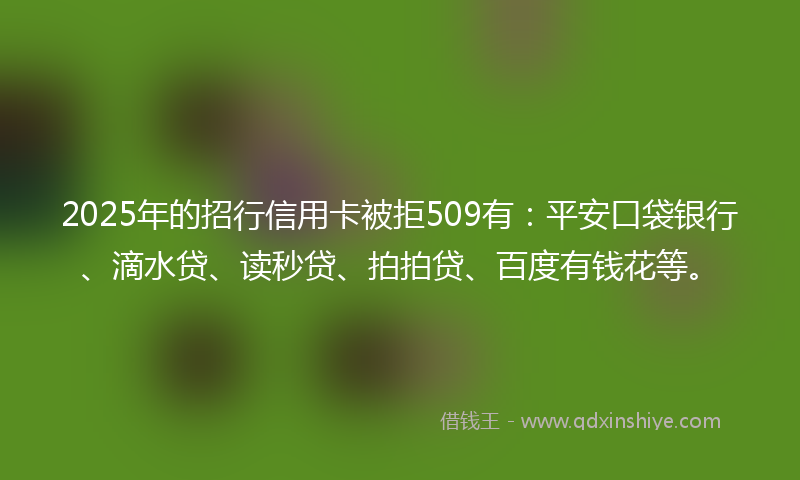 2025年的招行信用卡被拒509有：平安口袋银行、滴水贷、读秒贷、拍拍贷、百度有钱花等。