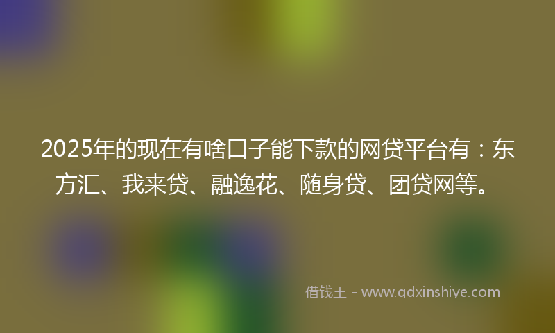 2025年的现在有啥口子能下款的网贷平台有：东方汇、我来贷、融逸花、随身贷、团贷网等。