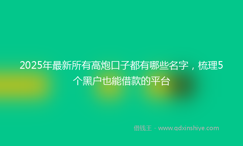 2025年最新所有高炮口子都有哪些名字，梳理5个黑户也能借款的平台