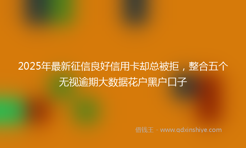 2025年最新征信良好信用卡却总被拒，整合五个无视逾期大数据花户黑户口子