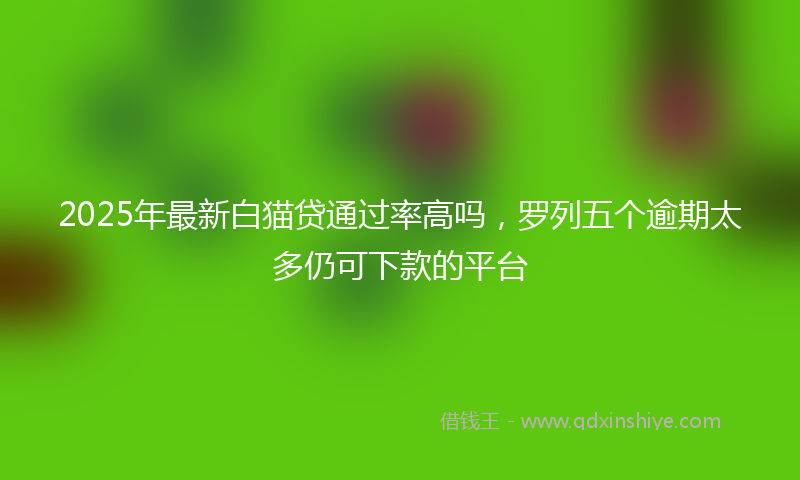 2025年最新白猫贷通过率高吗，罗列五个逾期太多仍可下款的平台