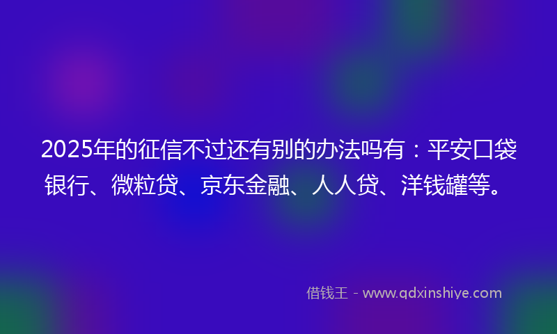 2025年的征信不过还有别的办法吗有：平安口袋银行、微粒贷、京东金融、人人贷、洋钱罐等。