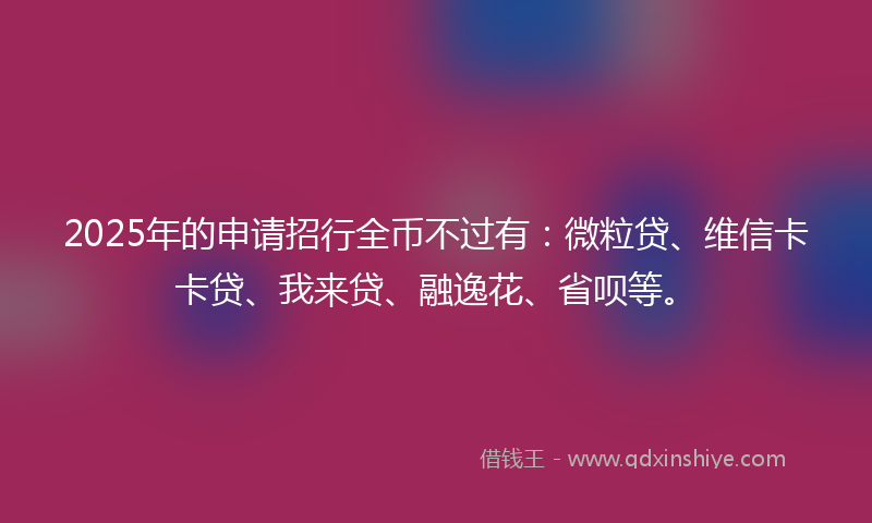 2025年的申请招行全币不过有：微粒贷、维信卡卡贷、我来贷、融逸花、省呗等。
