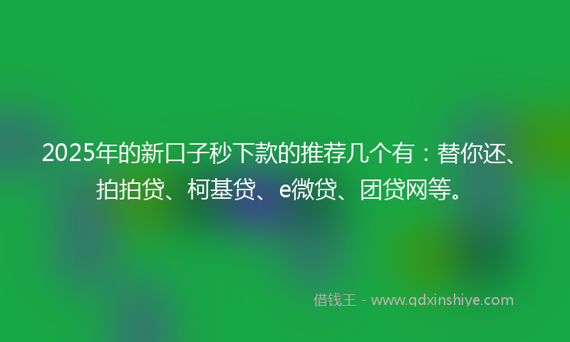 2025年的新口子秒下款的推荐几个有：替你还、拍拍贷、柯基贷、e微贷、团贷网等。