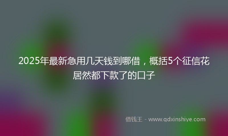 2025年最新急用几天钱到哪借，概括5个征信花居然都下款了的口子