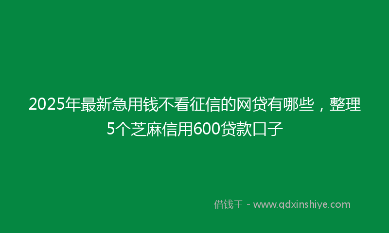 2025年最新急用钱不看征信的网贷有哪些，整理5个芝麻信用600贷款口子