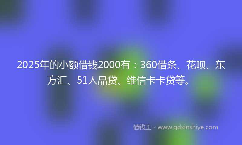 2025年的小额借钱2000有：360借条、花呗、东方汇、51人品贷、维信卡卡贷等。