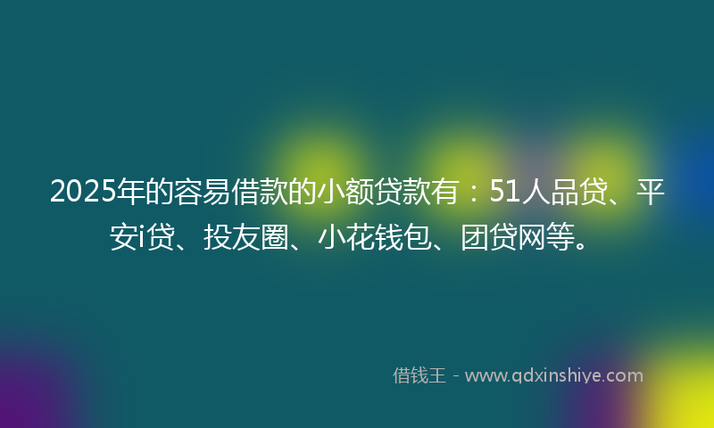 2025年的容易借款的小额贷款有：51人品贷、平安i贷、投友圈、小花钱包、团贷网等。