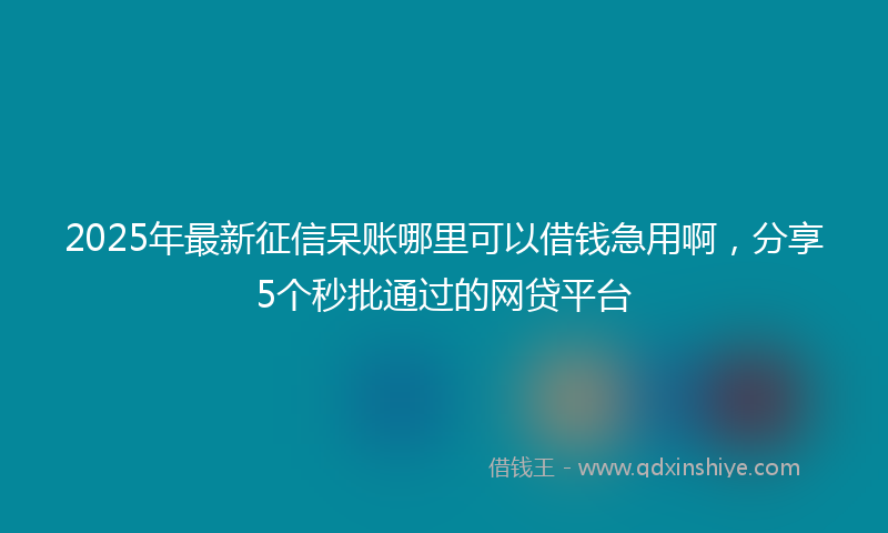 2025年最新征信呆账哪里可以借钱急用啊，分享5个秒批通过的网贷平台