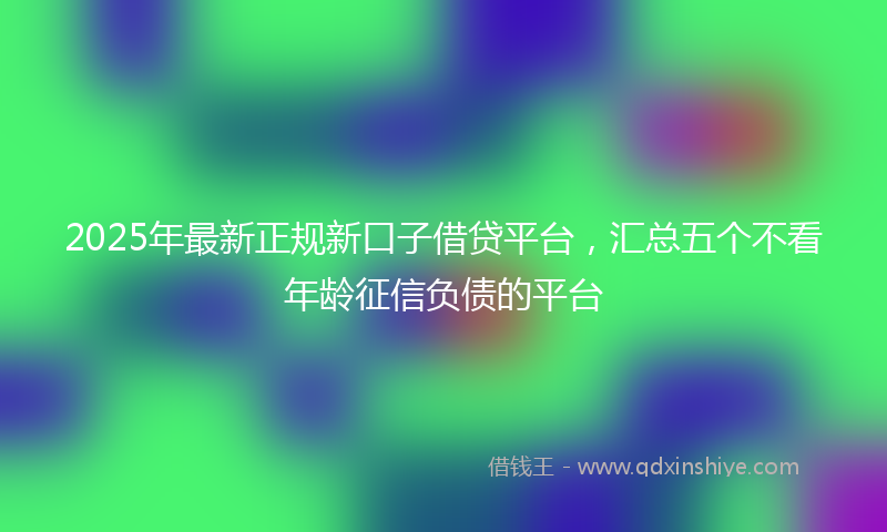 2025年最新正规新口子借贷平台，汇总五个不看年龄征信负债的平台