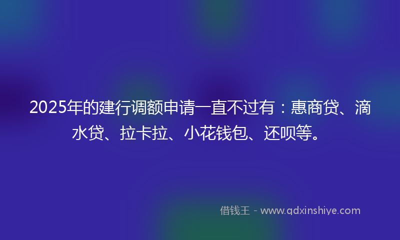 2025年的建行调额申请一直不过有：惠商贷、滴水贷、拉卡拉、小花钱包、还呗等。