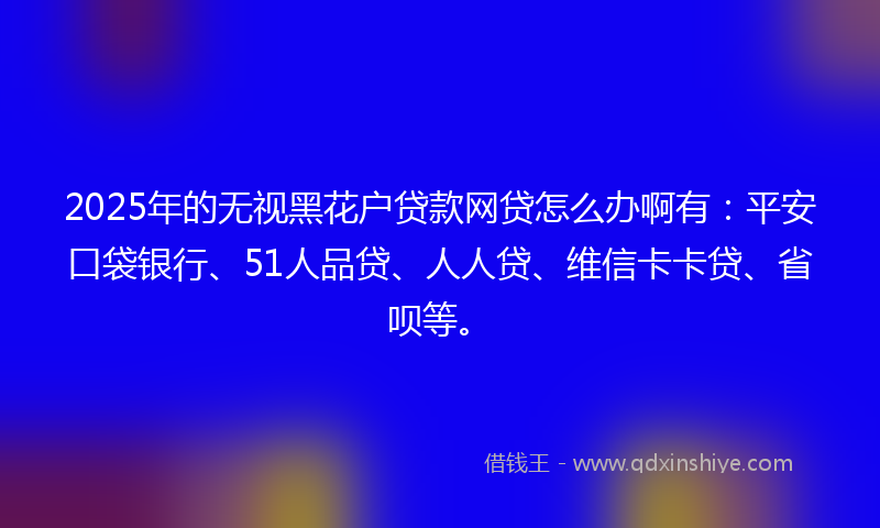 2025年的无视黑花户贷款网贷怎么办啊有：平安口袋银行、51人品贷、人人贷、维信卡卡贷、省呗等。