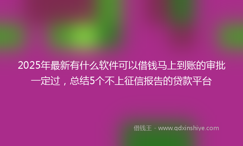 2025年最新有什么软件可以借钱马上到账的审批一定过，总结5个不上征信报告的贷款平台