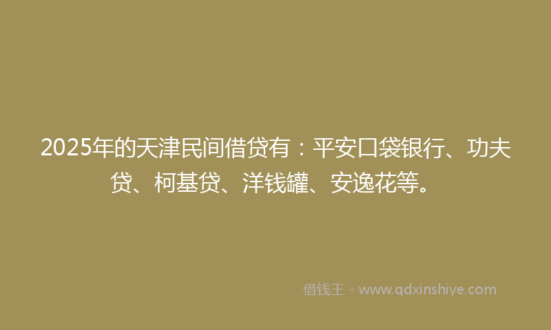 2025年的天津民间借贷有：平安口袋银行、功夫贷、柯基贷、洋钱罐、安逸花等。