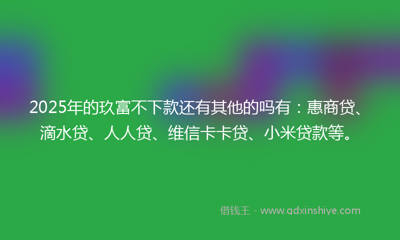 2025年的玖富不下款还有其他的吗有：惠商贷、滴水贷、人人贷、维信卡卡贷、小米贷款等。