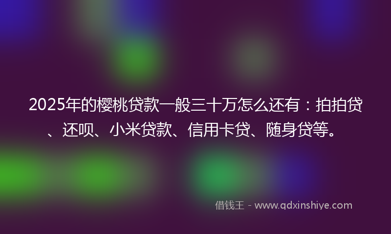2025年的樱桃贷款一般三十万怎么还有：拍拍贷、还呗、小米贷款、信用卡贷、随身贷等。