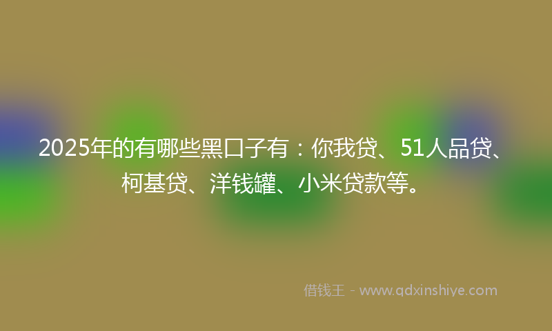 2025年的有哪些黑口子有：你我贷、51人品贷、柯基贷、洋钱罐、小米贷款等。