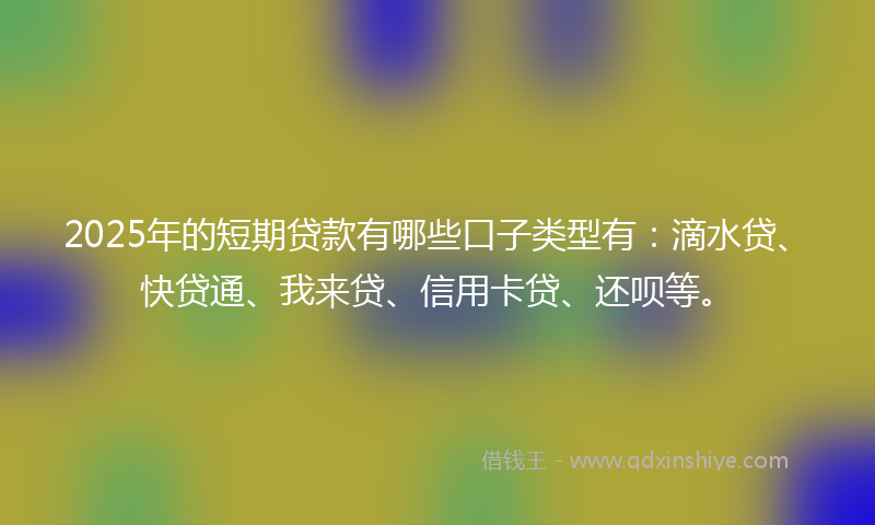 2025年的短期贷款有哪些口子类型有：滴水贷、快贷通、我来贷、信用卡贷、还呗等。