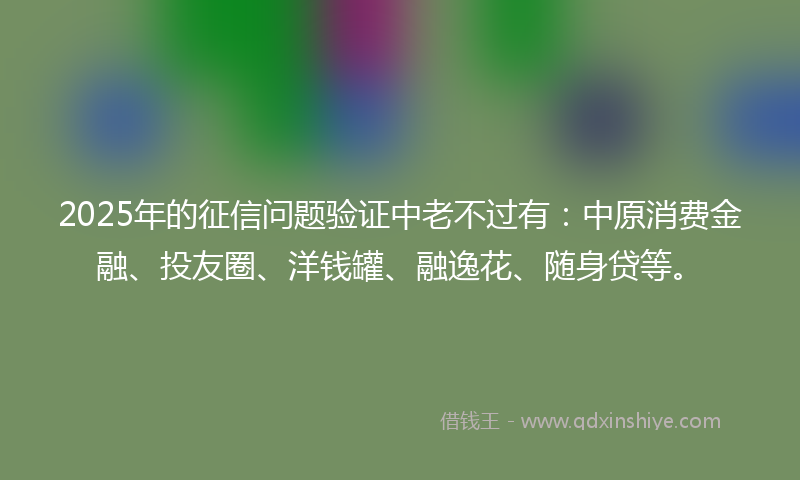 2025年的征信问题验证中老不过有：中原消费金融、投友圈、洋钱罐、融逸花、随身贷等。