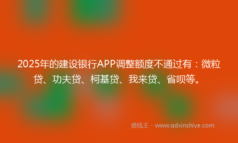 2025年的建设银行APP调整额度不通过有：微粒贷、功夫贷、柯基贷、我来贷、省呗等。