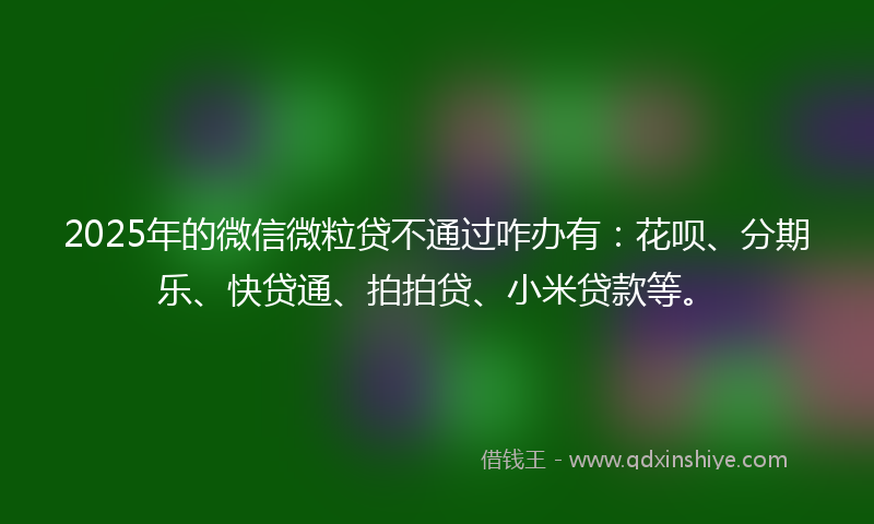 2025年的微信微粒贷不通过咋办有：花呗、分期乐、快贷通、拍拍贷、小米贷款等。