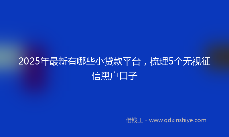 2025年最新有哪些小贷款平台，梳理5个无视征信黑户口子