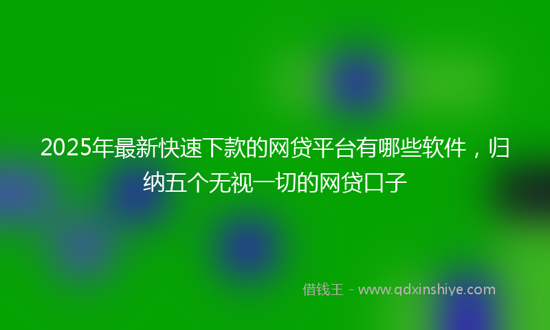2025年最新快速下款的网贷平台有哪些软件，归纳五个无视一切的网贷口子