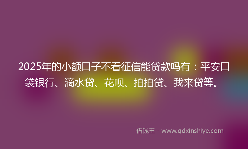 2025年的小额口子不看征信能贷款吗有：平安口袋银行、滴水贷、花呗、拍拍贷、我来贷等。