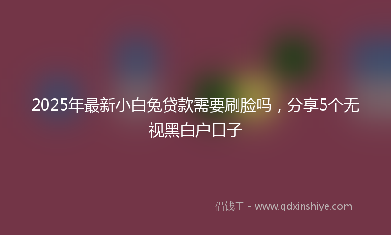 2025年最新小白兔贷款需要刷脸吗，分享5个无视黑白户口子