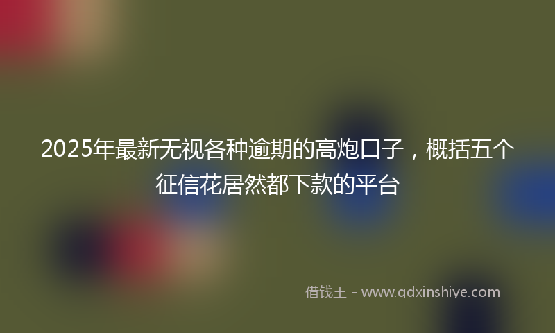 2025年最新无视各种逾期的高炮口子，概括五个征信花居然都下款的平台
