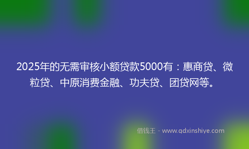 2025年的无需审核小额贷款5000有：惠商贷、微粒贷、中原消费金融、功夫贷、团贷网等。