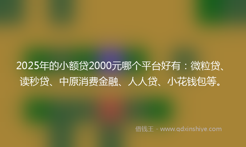 2025年的小额贷2000元哪个平台好有：微粒贷、读秒贷、中原消费金融、人人贷、小花钱包等。