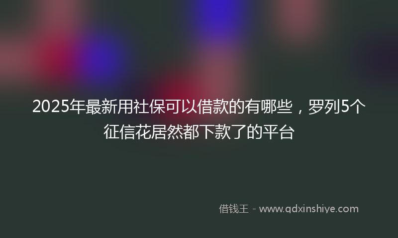 2025年最新用社保可以借款的有哪些，罗列5个征信花居然都下款了的平台