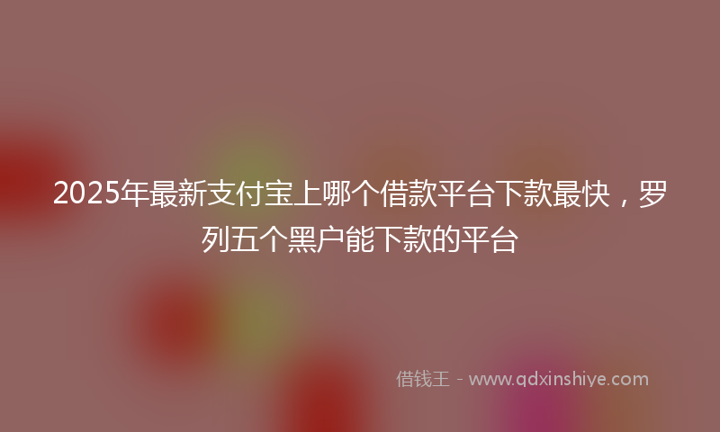 2025年最新支付宝上哪个借款平台下款最快，罗列五个黑户能下款的平台