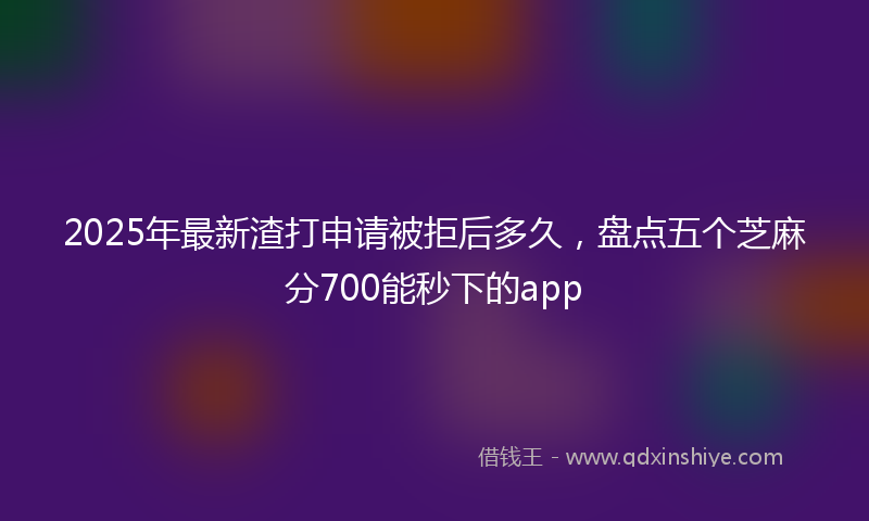 2025年最新渣打申请被拒后多久，盘点五个芝麻分700能秒下的app