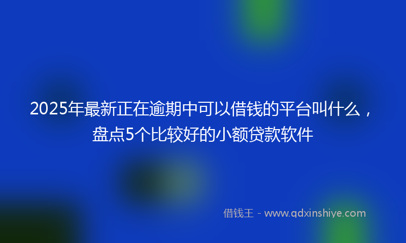 2025年最新正在逾期中可以借钱的平台叫什么，盘点5个比较好的小额贷款软件