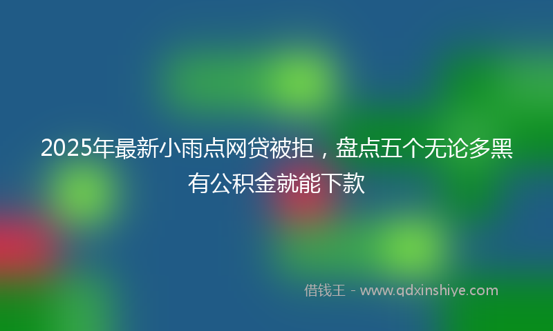 2025年最新小雨点网贷被拒，盘点五个无论多黑有公积金就能下款