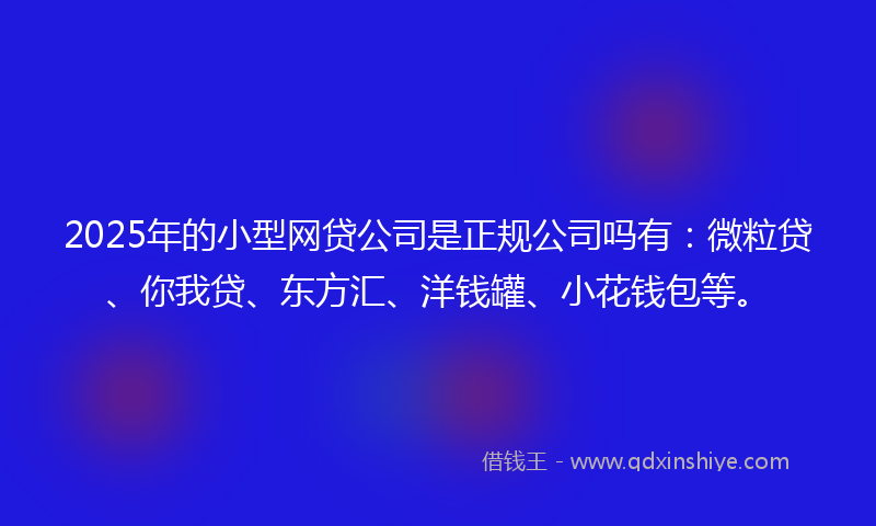 2025年的小型网贷公司是正规公司吗有：微粒贷、你我贷、东方汇、洋钱罐、小花钱包等。