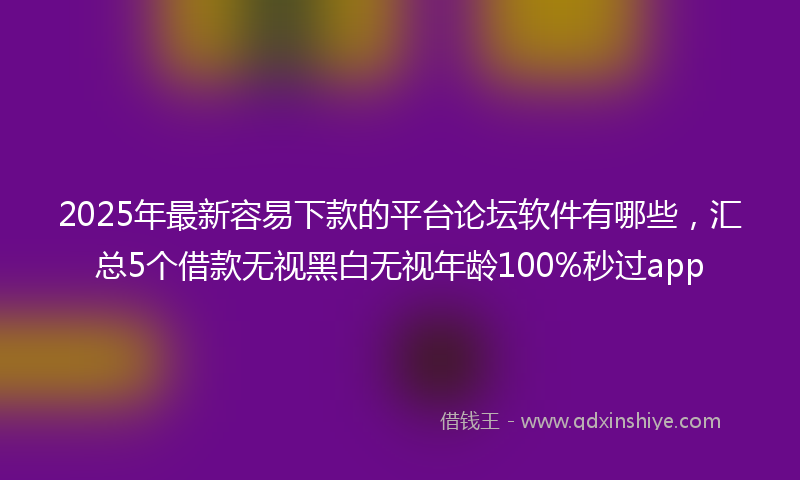 2025年最新容易下款的平台论坛软件有哪些，汇总5个借款无视黑白无视年龄100%秒过app