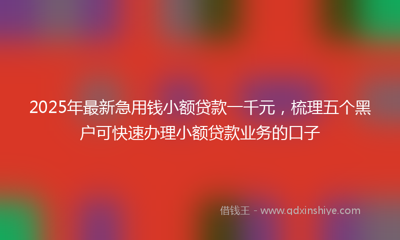 2025年最新急用钱小额贷款一千元，梳理五个黑户可快速办理小额贷款业务的口子